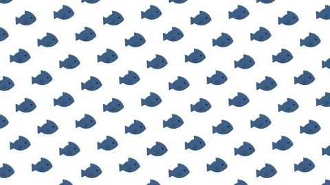 Fish Pattern Background Stock Footage 323288927