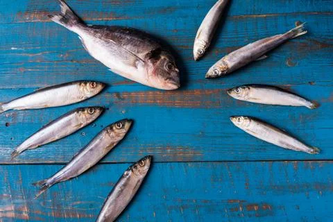 Fish pattern. Herring fish and seabass fih on an old blue wooden background. Stock Photos