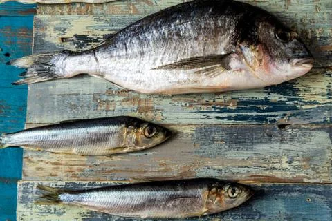 Fish pattern. Herring fish and sea bass fish on an old blue wooden background Foto stock