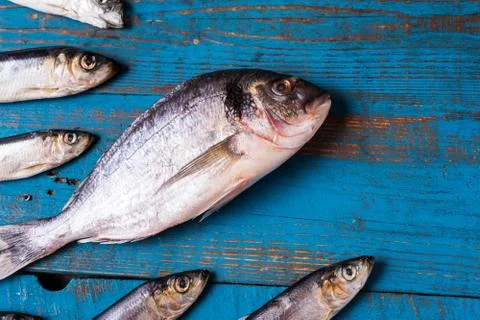 Fish pattern. Herring fish and seabass fih on an old blue wooden background. Stock Photos
