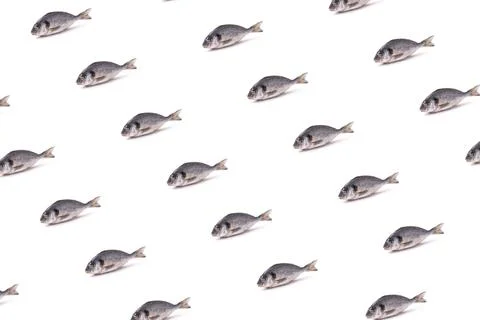 Fish pattern Stock Photos