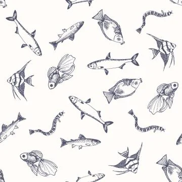 Fish pattern. Sketch of salmon. Hand drawn vector illustrations. Vector sea and Stock Illustration