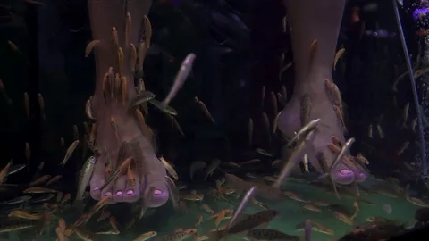 Fish peeling at the resort Stock Footage 119764956