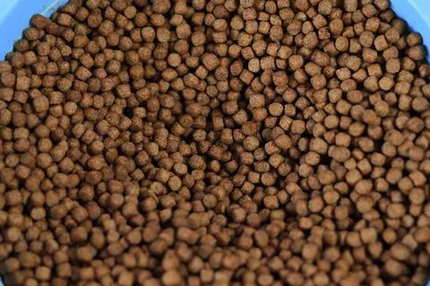 Fish pellets in container isolated on white background. Stock Photos