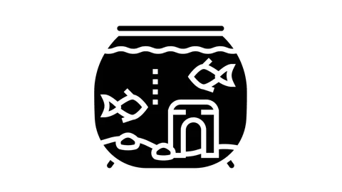 Fish pet glyph icon animation Stock Footage 164593589