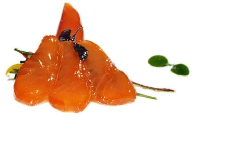 Fish Stock Photos