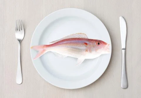 Fish Stock Photos