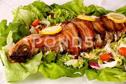 Fish Stock Photos