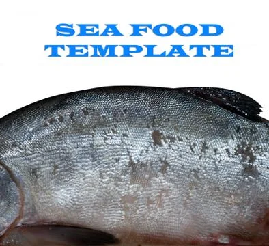Fish Stock-Fotos
