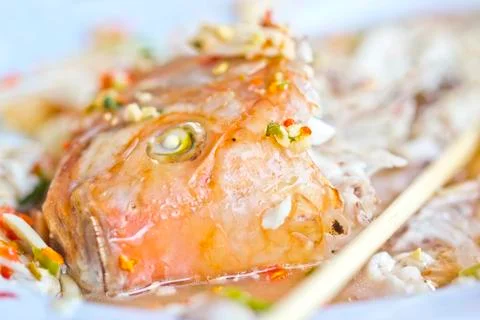 Fish Stock Photos