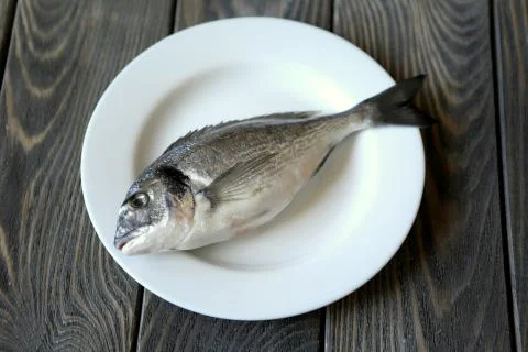 Fish Stock Photos