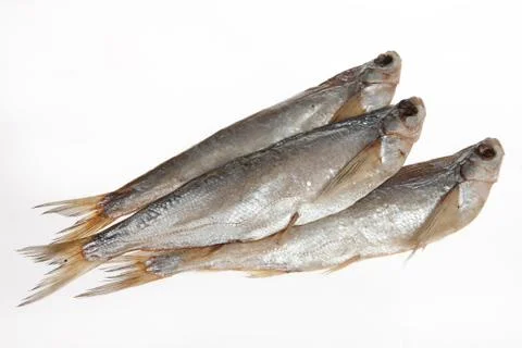 Fish Stock Photos