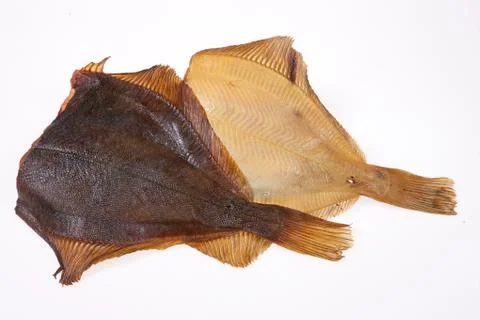 Fish Stock Photos