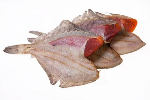 Fish Stock Photos