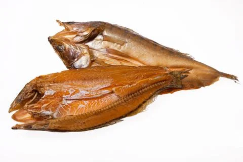 Fish Stock Photos