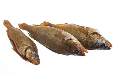 Fish Stock Photos