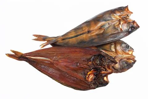 Fish Stock Photos