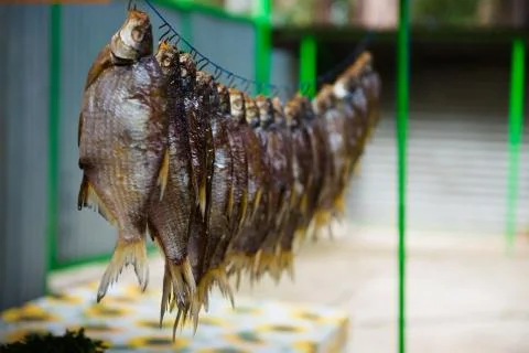Fish Stock Photos