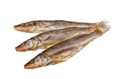 Fish Stock Photos