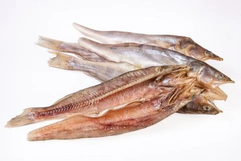 Fish Stock Photos