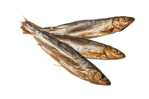 Fish Stock Photos
