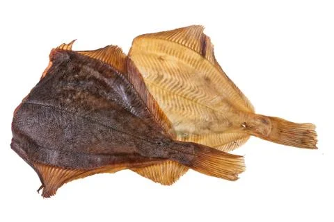 Fish Stock Photos