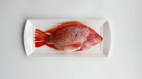 Fish is on the plate 스톡 동영상 22133254