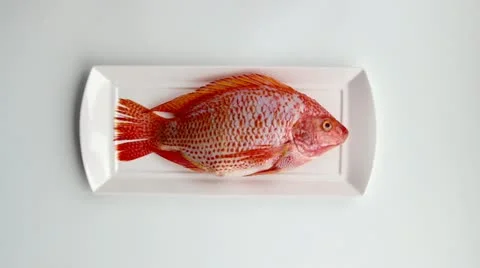Fish is on the plate 스톡 동영상 22133274