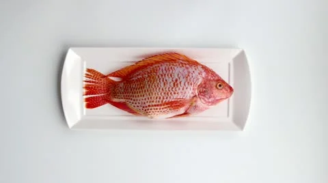 Fish is on the plate 스톡 동영상 22133293