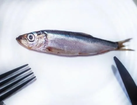 Fish on plate with fork and knife, Healthy food concept, .Can be used for banner Stock Photos