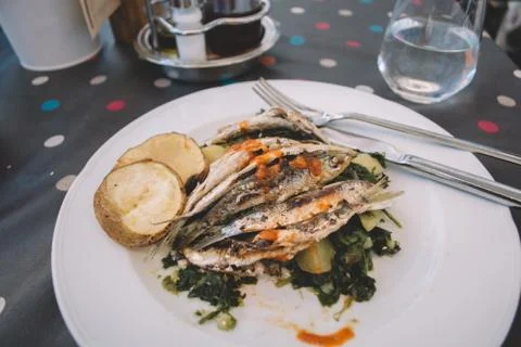 Fish on a plate Stock Photos