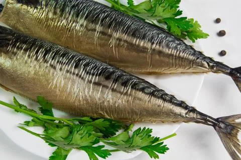 Fish on a plate Stock Photos