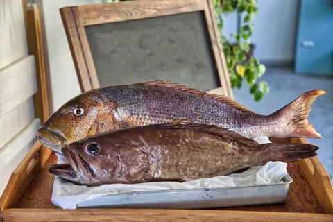 Fish On A Platter. Isolated Stock Photos