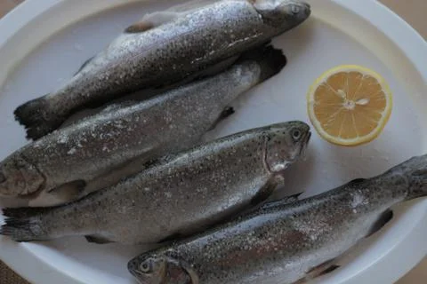 Fish on a platter, trout Stock Photos