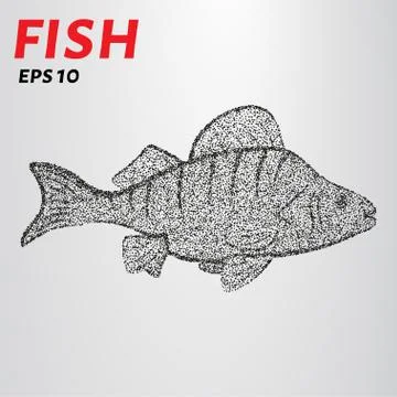 Fish from points. Vector drawing of the fish consists of circles. Stock Illustration