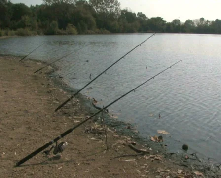 Fish Poles at Lake Stock Footage 283210