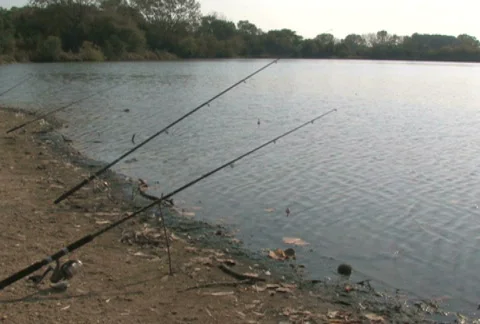 Fish Poles at Lake Stock Footage 283686