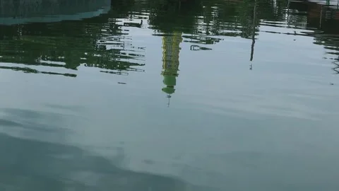 Fish pond 2 Stock Footage 289452238