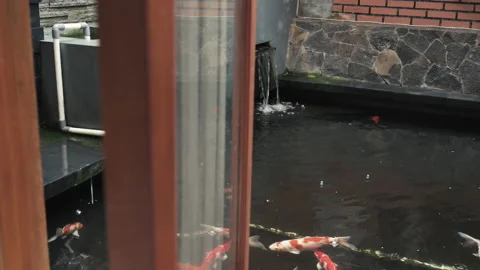 Fish pond behind the window frame during raining day Stock Footage 150267998