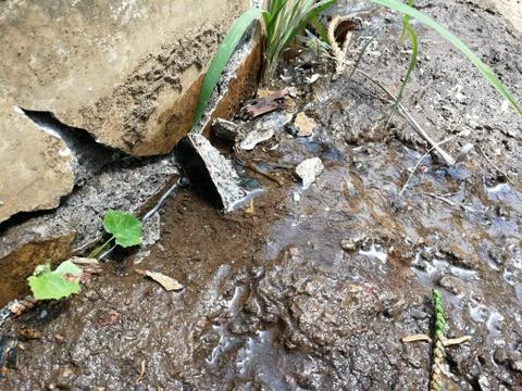 Fish pond Corrupt  Broken From bumps Stock Photos