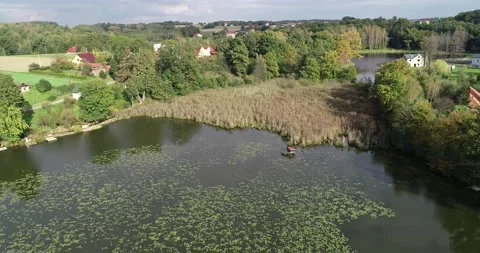 Fish pond 库存影片 140921198