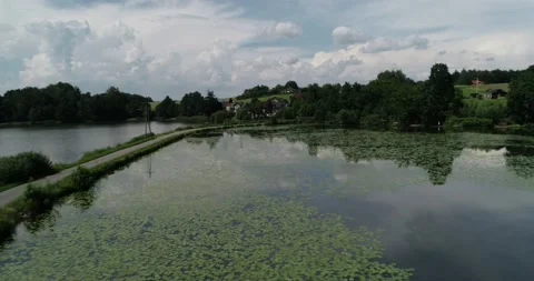 Fish pond 库存影片 141515692