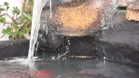 Fish pond. Vídeo Stock 224870531