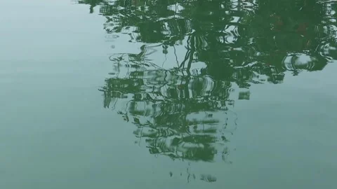 Fish pond Video stock 289452246