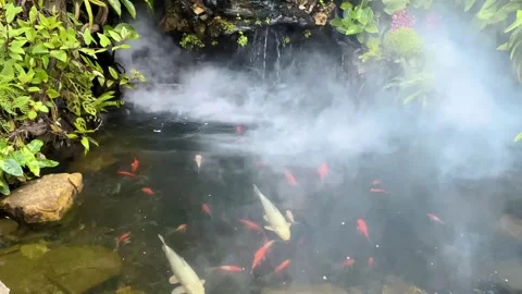 Fish pond with mist effect surrounded by rocks Stock Footage 289039032