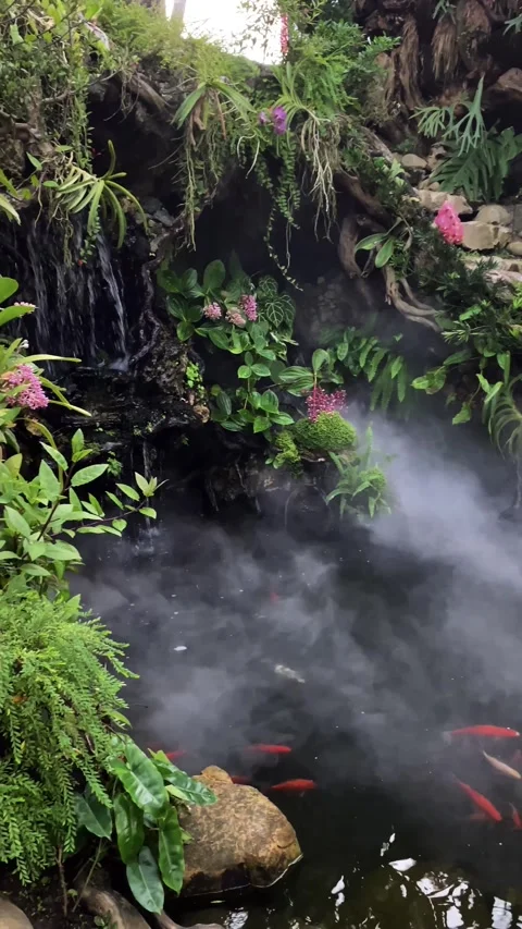 Fish pond with mist effect surrounded by rocks Stock Footage 289039035