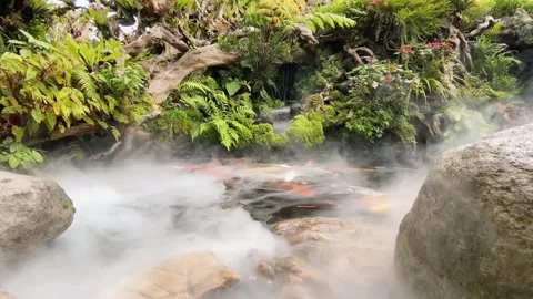 Fish pond with mist effect surrounded by rocks Stock Footage 289039100