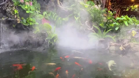 Fish pond with mist effect surrounded by rocks Stock Footage 289039117