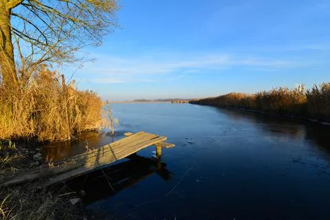 Fish Pond Stock Photos