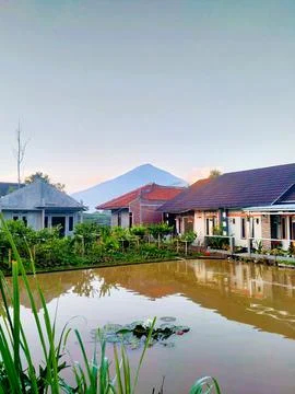 Fish pond Foto stock